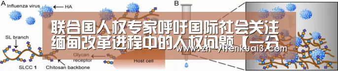 一分快3