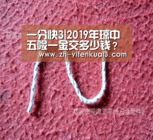 一分快3|2019年琼中五险一金交多少钱？最低标准是多少？