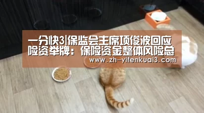 一分快3|保监会主席项俊波回应险资举牌：保险资金整体风险总体可控